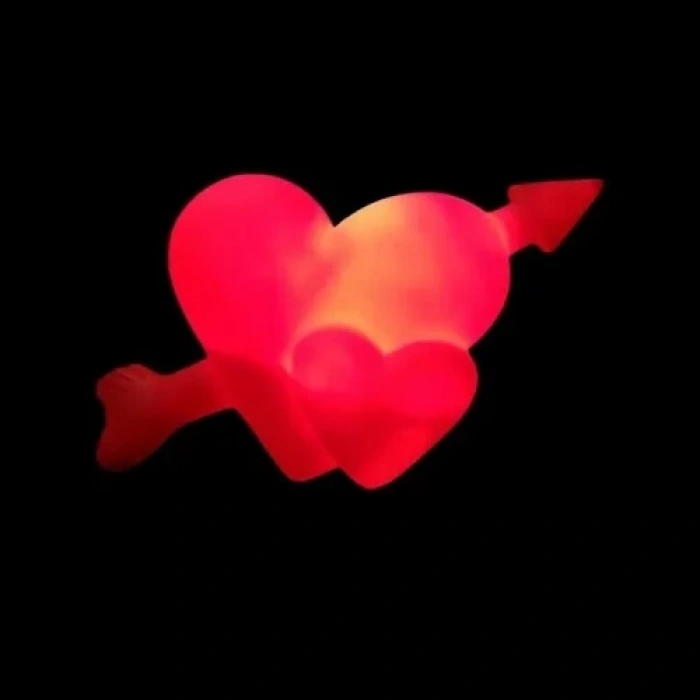 VipMarketim 12li Kalp LED Işık