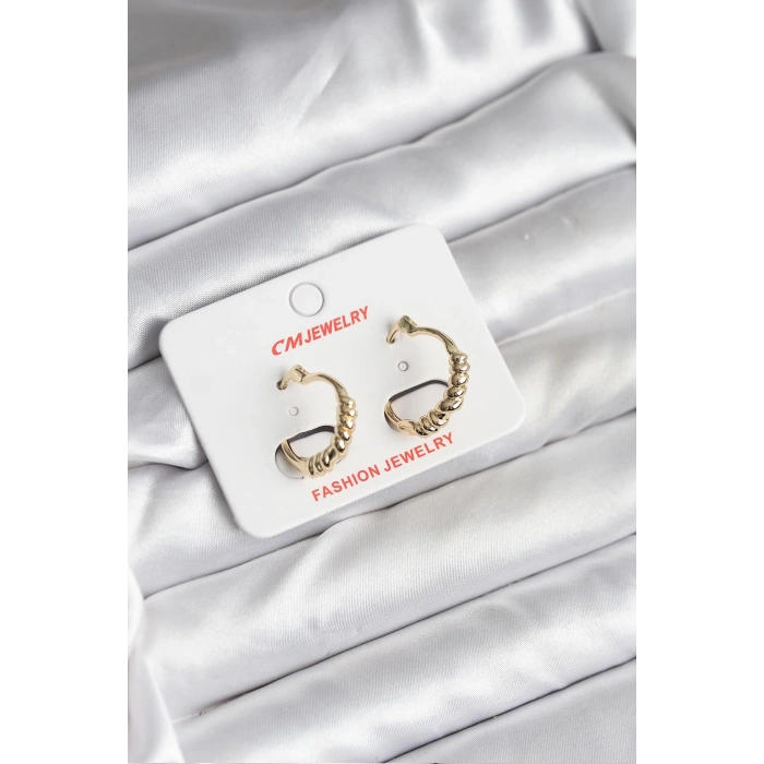 VipMarketim 14K Gold Renk Kaplama CM Kadın Küpe 5886