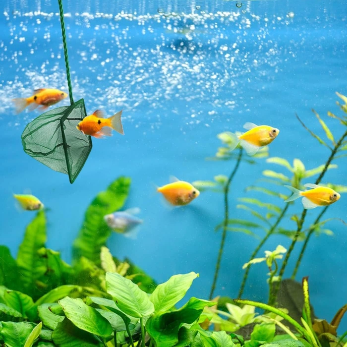 VipMarketim Akvaryum Balık Kepçesi 7.5 Cm.