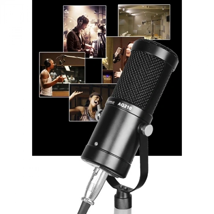 VipMarketim AQ210 Condenser Stüdyo Profesyonel Kayıt ve Yayın Mikrofonu Studio-(5775)