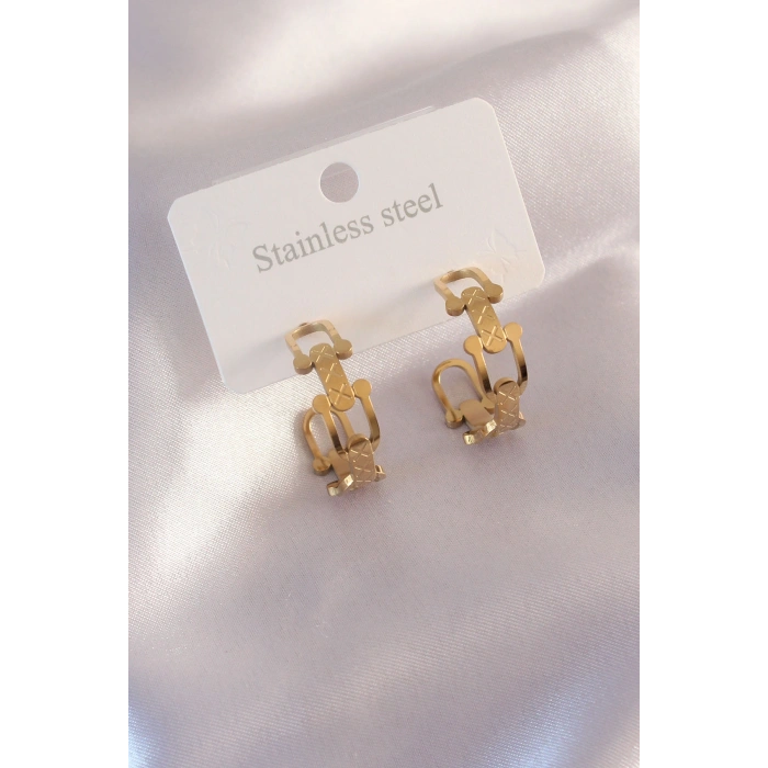 VipMarketim Çelik Gold Renk Tifanny Zincir Model Kadın Küpe 5886