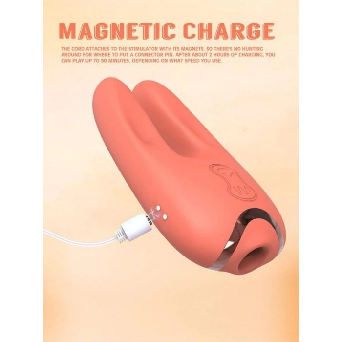 VipMarketim Chisa Kissen Bloom