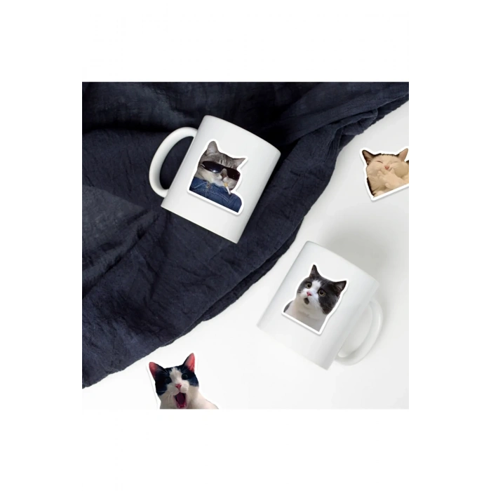 VipMarketim  Çılgın Kediler Macbook Notebook Tablet Telefon Ajanda Laptop Defter Sticker Seti