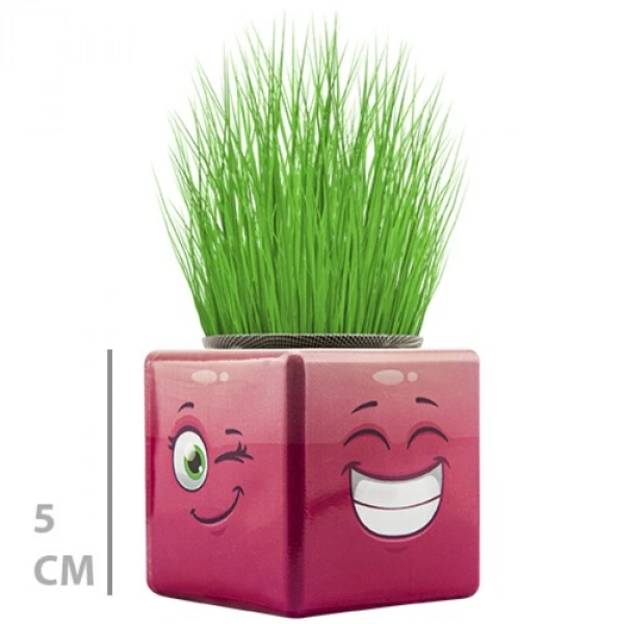 VipMarketim Çim Adam Mini Küp Emoji Figürlü 1 Adet