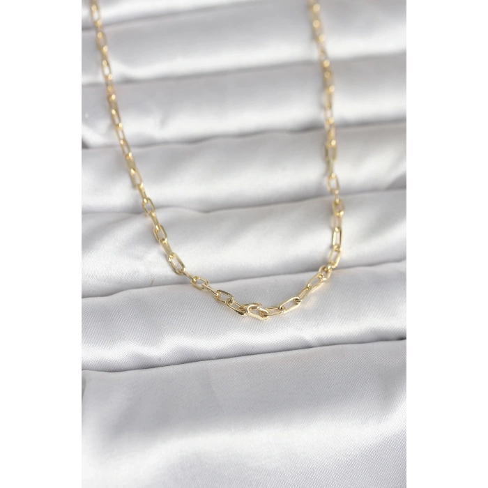 VipMarketim CM 14K Gold Renk Ataç Zincir Model 60 cm Kadın Kolye 5886