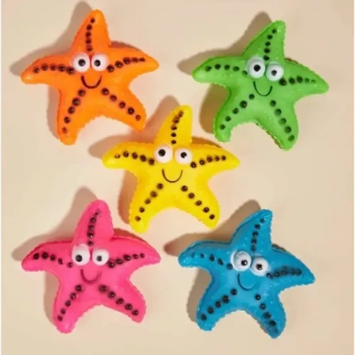 VipMarketim Denizyıldızı Figürlü Köpek Çiğneme Oyuncağı