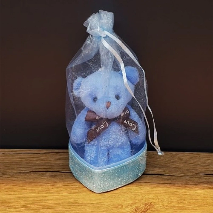 VipMarketim Doğum Günü Hediyesi Kese İçinde Ayıcık