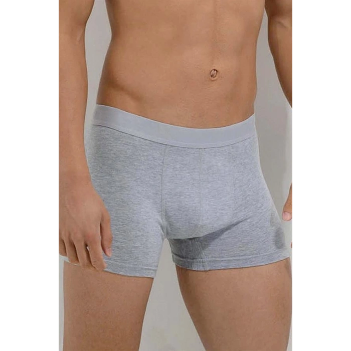 VipMarketim Erkek Pamuk Ve Modal Kumaş Geniş Bel Lastikli Klasik Bokser (0019)