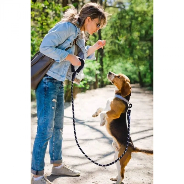 VipMarketim Evcil Hayvan Reflektörlü Fitil Gezdirme Tasması 12 mm x 120 cm