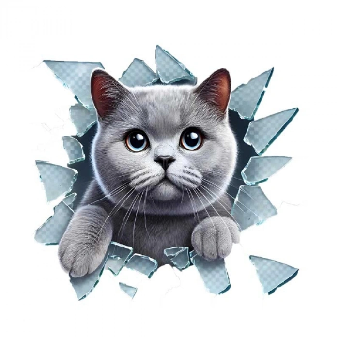 VipMarketim Fulcar Kedi Tasarımlı Araç Stickerı