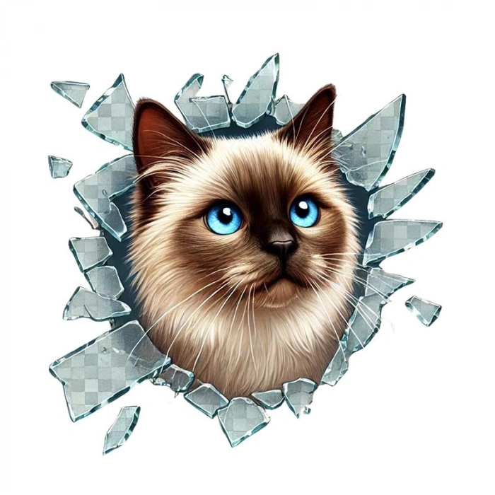 VipMarketim Fulcar Siamesse Araç Stickerı