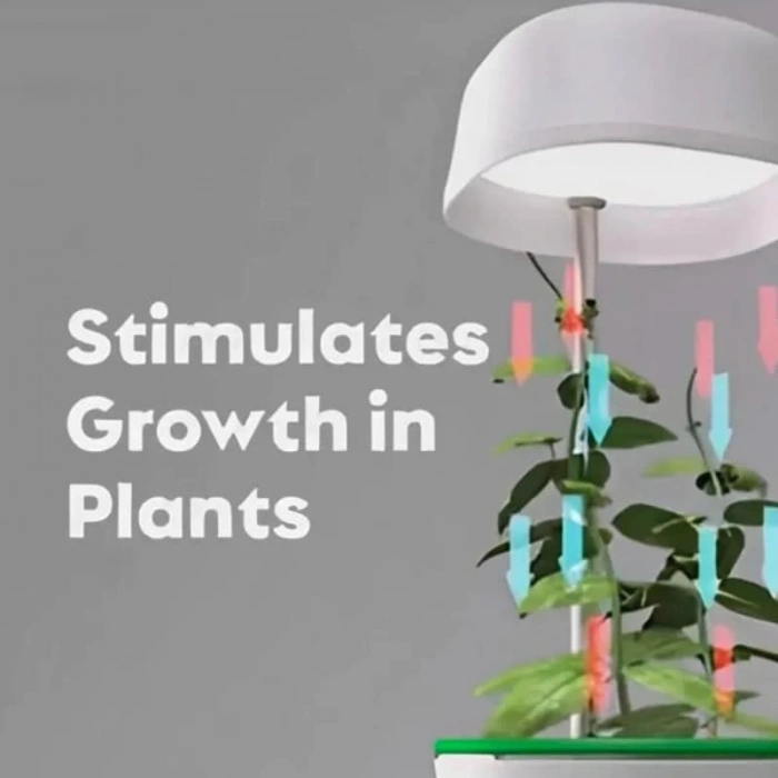 VipMarketim Hızlı Bitki Yetiştirme Saksısı