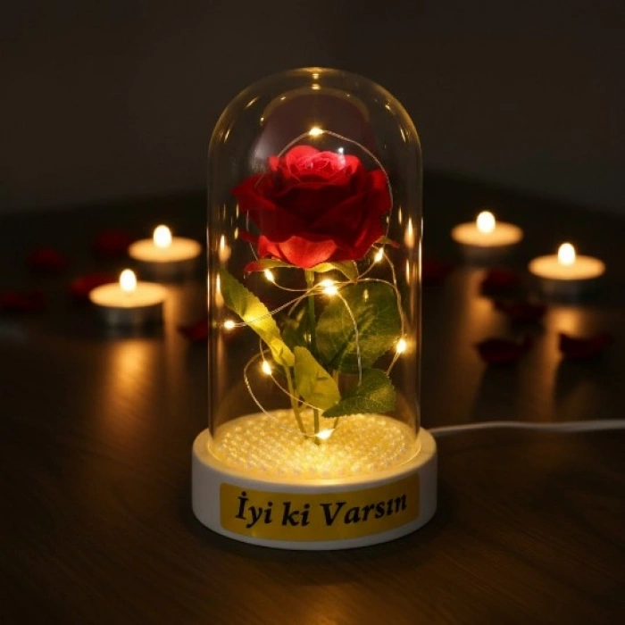 VipMarketim İncili Ledli Gül Fanus