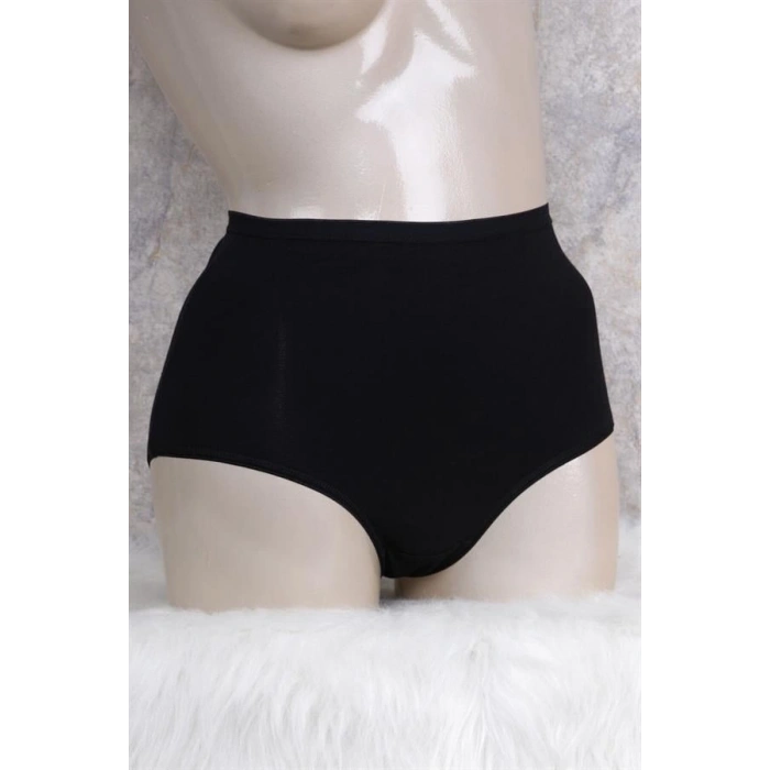 VipMarketim Kadın Pamuklu Yüksek Bel Geniş Bel Lastikli Külot (2678)