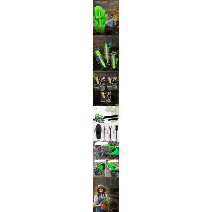 VipMarketim Kaktüs Sukkulent Dikim Seti