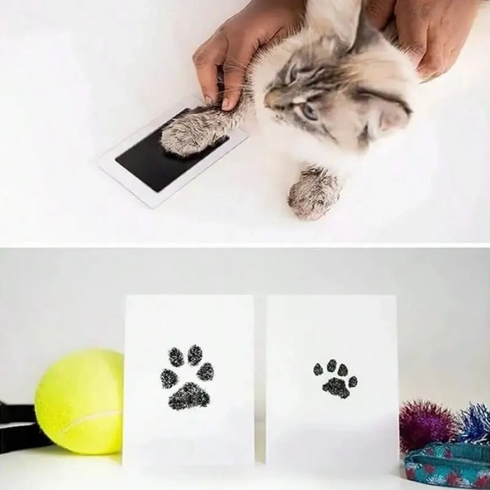 VipMarketim Kedi Köpek Pati İzi Fotoğraf Çerçevesi Seti