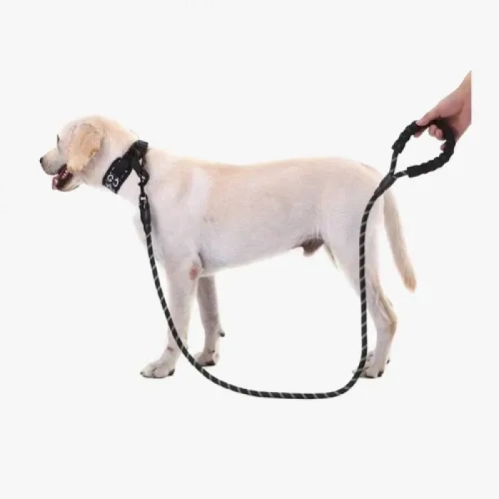 VipMarketim Köpekler İçin Reflektörlü Halat Gezdirme Tasması
