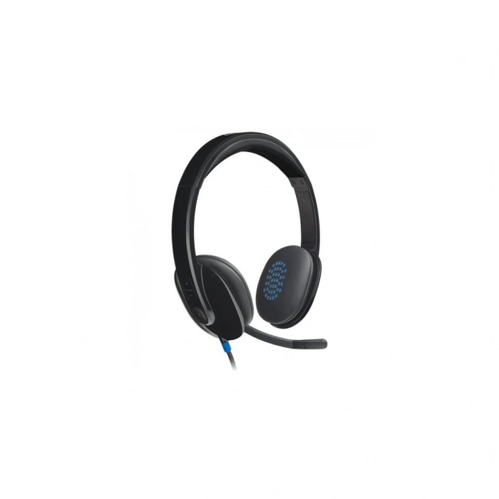 VipMarketim LOGITECH H540 981-000480 USB Çağrı Merkezi Ofis Toplantı Konuşmacı Tipi Microfonlu Kulaklık(1923)