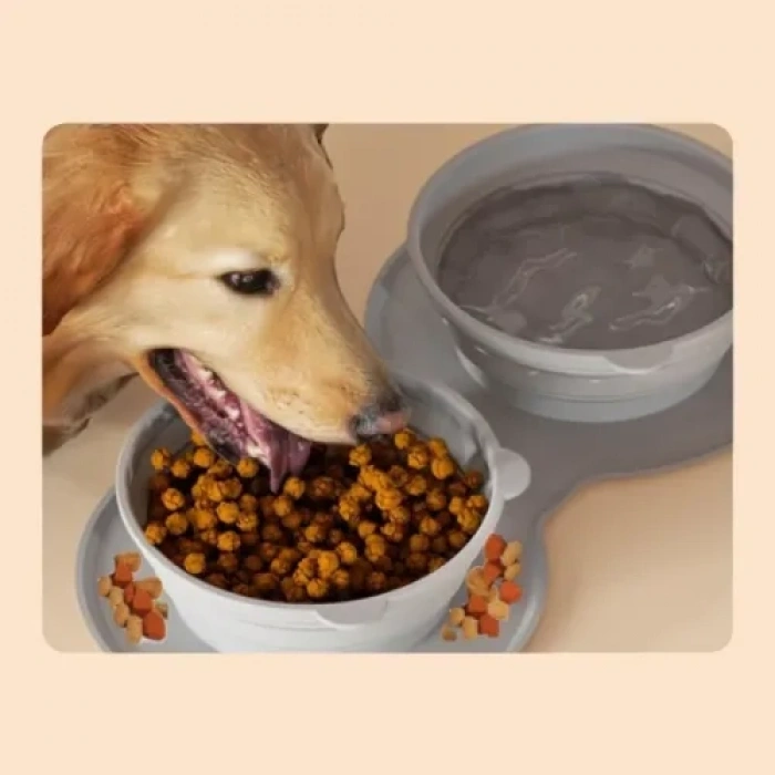 VipMarketim Mikopet Katlanabilir İkili Mama ve Su Kabı