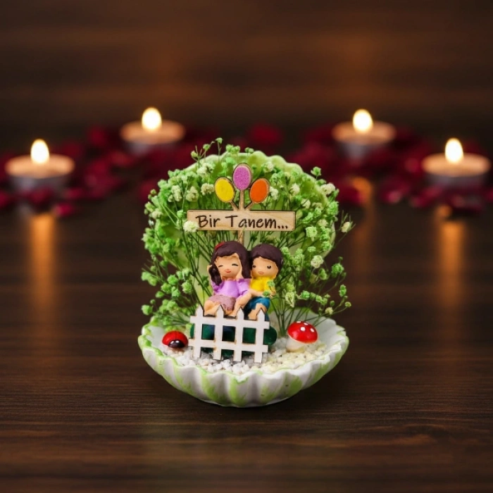 VipMarketim Mini Midye Teraryum - Özel Gün Hediyesi