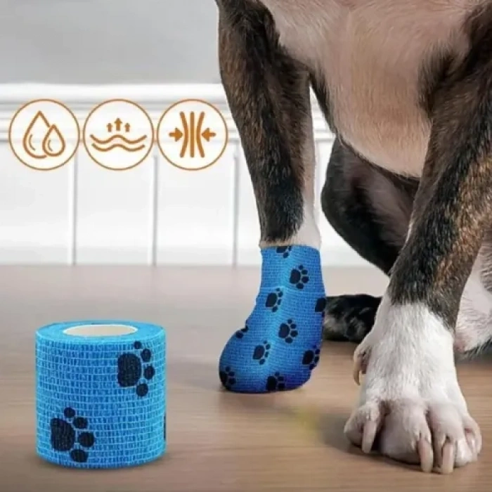 VipMarketim Pati Desenli Kendinden Yapışkanlı Bandajı