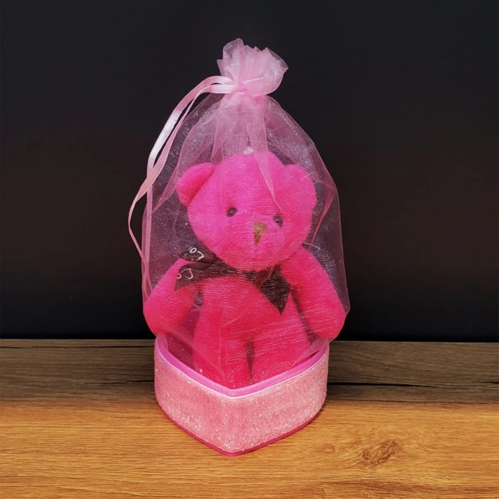 VipMarketim Pembe Hediyelik Kese İçinde Ayıcık
