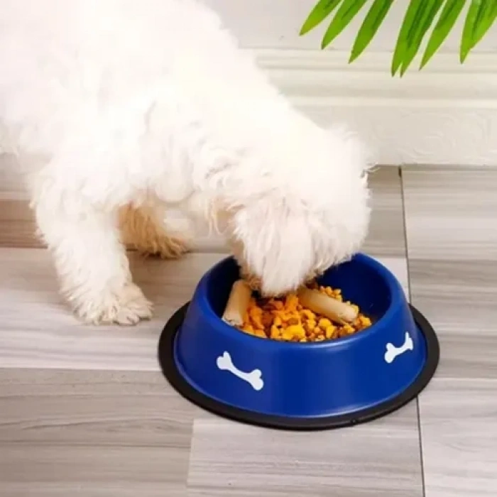 VipMarketim Renkli Kemik Desenli Metal Mama Kabı