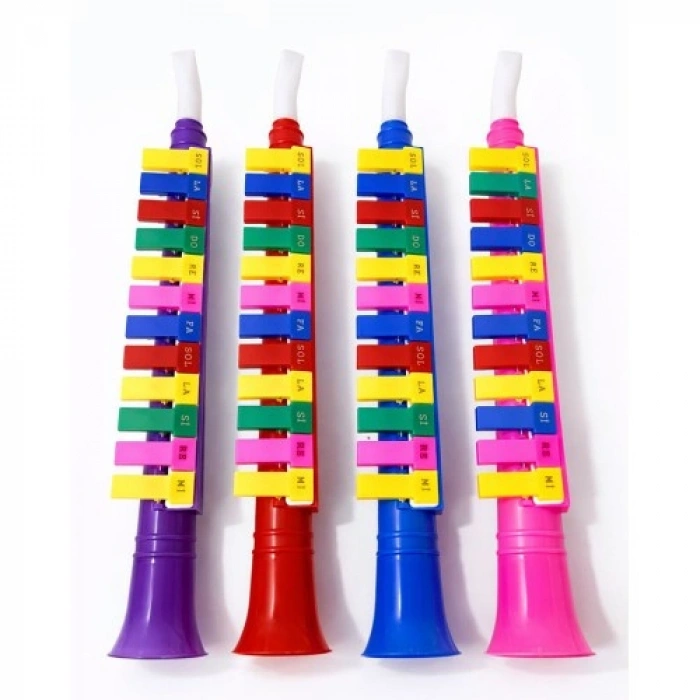 VipMarketim Renkli Plastik Melodika