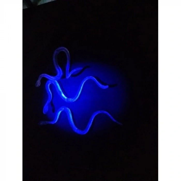 VipMarketim Şaka Yılan ve Kırkayak Karışık 36 Adet