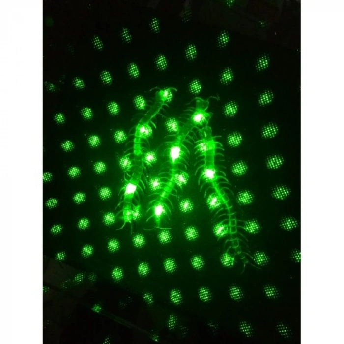 VipMarketim Şaka Yılan ve Kırkayak Karışık 36 Adet