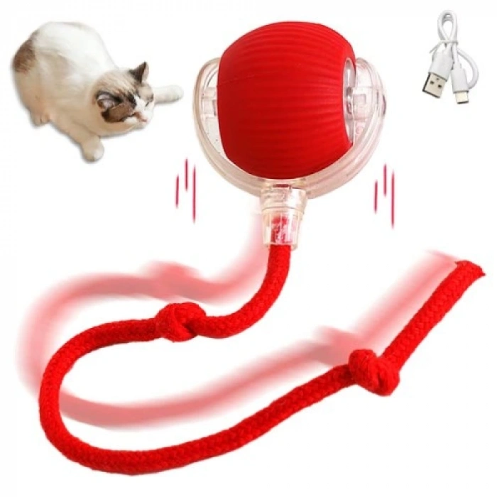 VipMarketim Şarjlı Kedi Oyuncağı