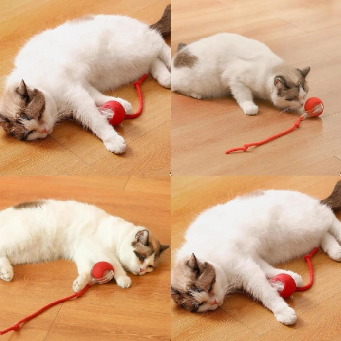 VipMarketim Şarjlı Kedi Oyuncağı