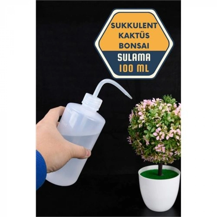 VipMarketim Sukkulent Kaktüs Bonsai Sulama Şişesi