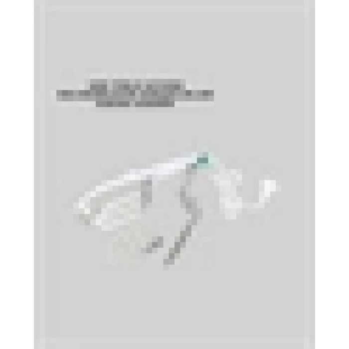 VipMarketim Tüm Kumaşlar İçin Taşınabilir Buharlı Ütü | Hızlı Isınma ve Aksesuar Setli