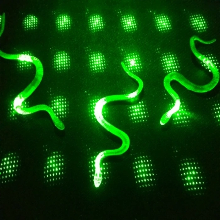 VipMarketim Yılan Kırkayak Şaka Oyuncağı 36 Adet