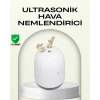 VipMarketim ABS+PP Malzemeli Taşınabilir 220 ml USB Mist Nemlendirici