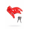 VipMarketim Black&red Erkek Sadakat Kemeri, Abs Plastik, Kırmızı, 10 Cm