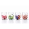 VipMarketim Çift Camlı Çiçekli Köşeli Bardak
