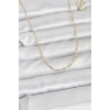 VipMarketim CM 14K Gold Renk Burgu Model 60 cm Kadın Kolye 5886