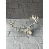 VipMarketim Dekoratif Geyik Başı Heykel 25 cm Modern Minimal Tasarım