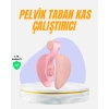 VipMarketim Evde Kullanıma Uygun Uyluk Kalça ve Pelvik Egzersiz Aleti