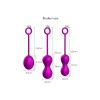 VipMarketim FoxShow Kegel Egzersiz Topları Seti
