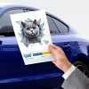 VipMarketim Fulcar Kedi Tasarımlı Araç Stickerı