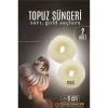 VipMarketim  GOLD Mini Saç Topuz Süngeri 2 ADET 6 CM Çap 2.5 cm Kalınlık