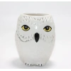 VipMarketim Harry Potter Hedwig Tasarım Porselen Kupa Bardak