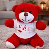 VipMarketim Love Tişörtlü Kırmızı Peluş Ayıcık