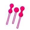 VipMarketim Redvil Kegel Vajinal Top Seti Pembe 16,5 cm