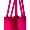 VipMarketim Redvil Kegel Vajinal Top Seti Pembe 16,5 cm
