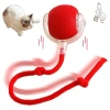VipMarketim Şarjlı Kedi Oyuncağı