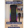 VipMarketim Taşınabilir Şarjlı Hoparlör USB SD Kart AUX Girişli